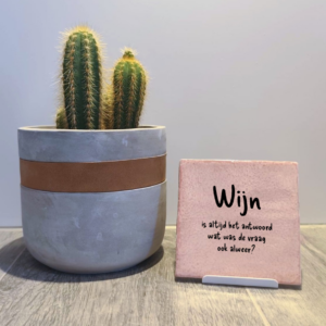 Tegeltje – Wijn